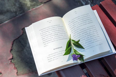 暨南大學MPA面試時間什么時候？