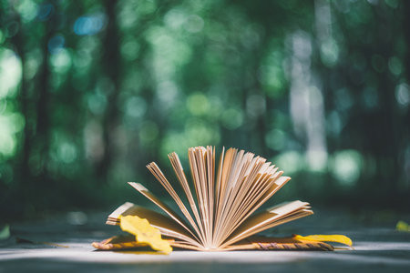 重慶理工大學MPA面試相關問題匯總！