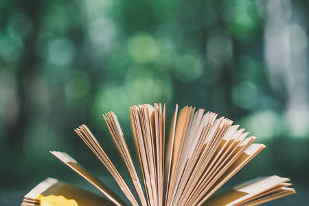 優(yōu)勢眾多的國民經(jīng)濟(jì)學(xué)在職博士，了解一下！