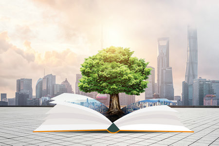 概率論與數(shù)理統(tǒng)計(jì)在職研究生報(bào)名及考試時(shí)間2025