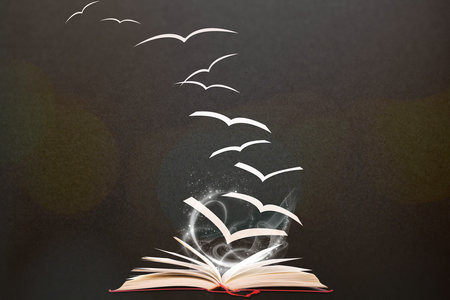 體育學在職研究生報名及考試時間2025