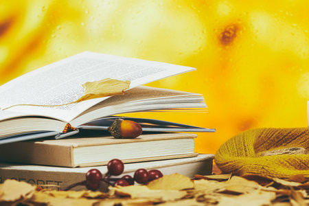 西南林業大學非全日制研究生報考條件2025年