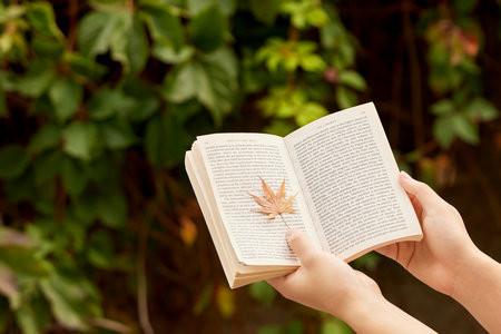 北京物資學(xué)院同等學(xué)力申碩報(bào)考條件2025年