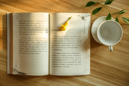 山東建筑大學MEM報考條件2025年