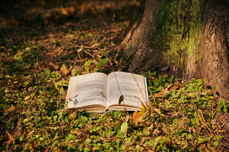 華北理工大學MEM報名入口2025年