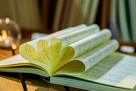 內蒙古科技大學MPAcc報名入口2025年