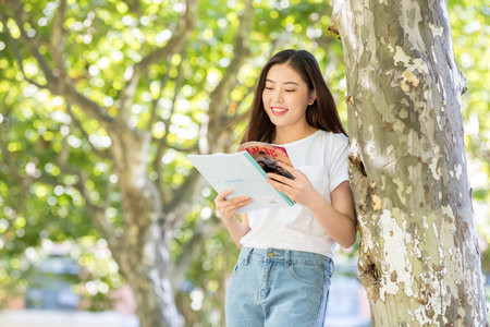 東北林業大學非全日制研究生報名入口2025年