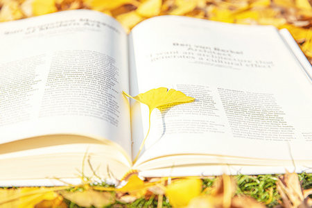 重慶理工大學非全日制研究生報名入口2025年