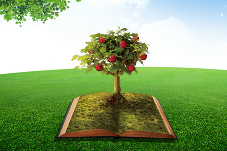 上海外國(guó)語(yǔ)大學(xué)MPA報(bào)名入口2025年