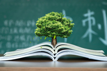 西班牙加泰羅尼亞理工大學(xué)國際博士報名入口2025年