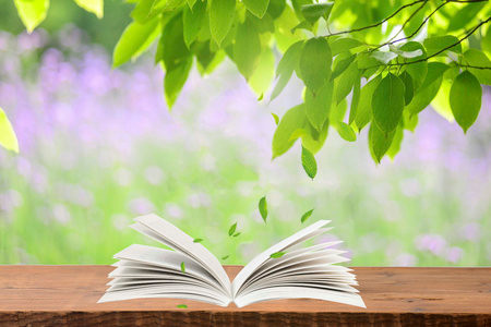 南京林業(yè)大學(xué)同等學(xué)力申碩報(bào)名入口2025年