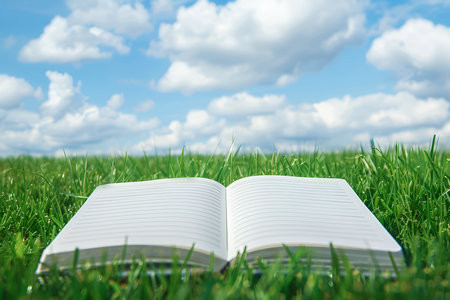 石家莊鐵道大學MEM報考條件2025年