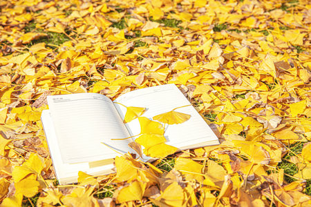 貴州大學(xué)MPA報考條件2025年