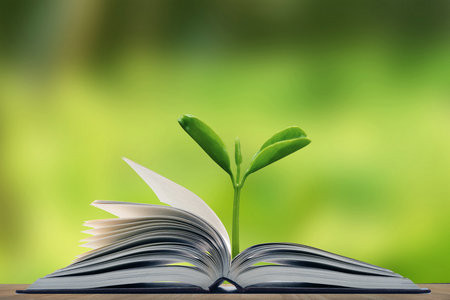 集美大學(xué)非全日制研究生報(bào)考條件及流程2025年