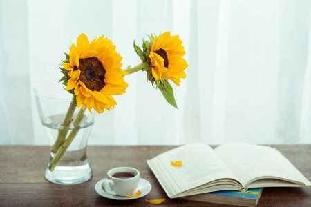 俄羅斯圣彼得堡國立工業技術與設計大學國際博士報考條件及流程2025年