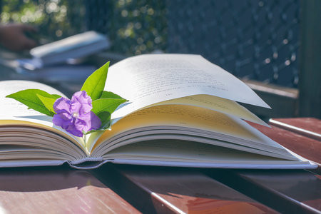 遼寧師范大學(xué)MPA報(bào)考條件及流程2025年