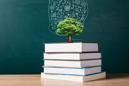 2026安徽理工大学同等学力申硕考试考什么科目？