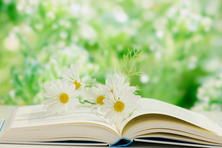 2026湘潭大學同等學力申碩考試考什么科目？