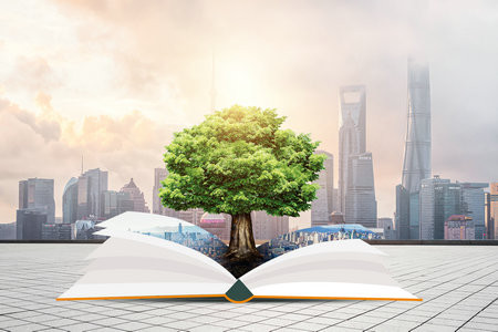 2026青島科技大學MBA考試考什么科目？