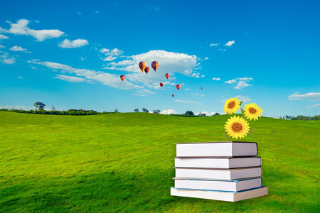 2026胡安卡洛斯國王大學國際博士考試考什么科目？