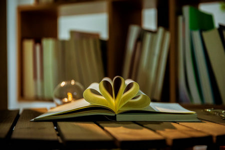 2026廣東財(cái)經(jīng)大學(xué)MBA考試考什么科目？