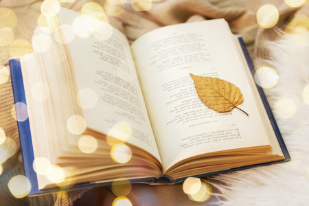 山東理工大學MEM報考條件及流程2026年