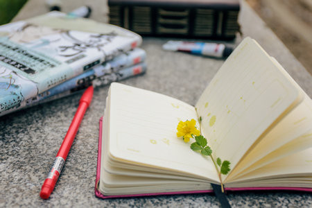 陜西科技大學(xué)同等學(xué)力申碩報考條件及流程2026年