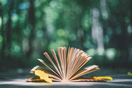 北京理工大學MEM報考條件及流程2026年