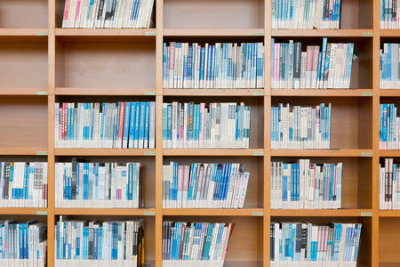 中山大學MPA報考條件及流程2026年