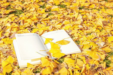 上海海事大學(xué)MPAcc報(bào)考條件及流程2026年