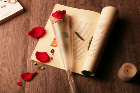 東南大學同等學力申碩報考條件及流程2026年