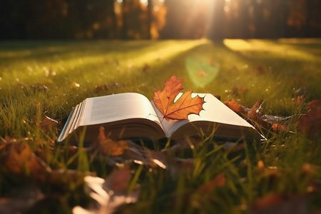 2026沈陽農業大學MPAcc考試考什么科目？