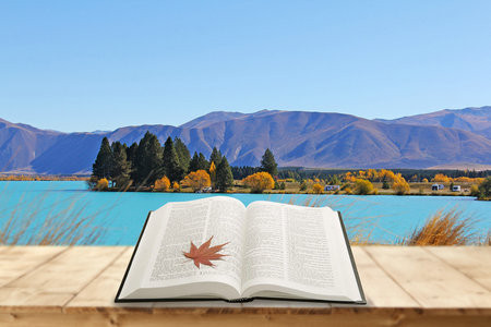 2026大連理工大學非全日制研究生考試考什么科目？