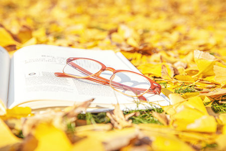 南開大學MPAcc報考條件及流程2026年