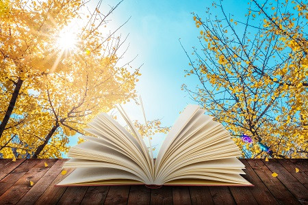 2026南華大學同等學力申碩考試考什么科目？