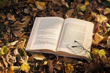 2026東北農業大學MBA考試考什么科目？