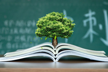 2026中央民族大學同等學力申碩考試考什么科目？