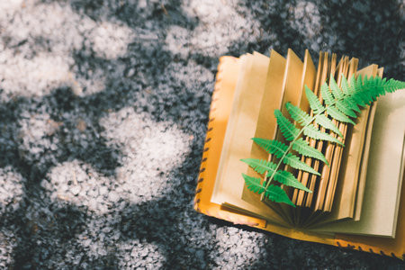 西華師范大學非全日制研究生滿足什么條件才能復試？