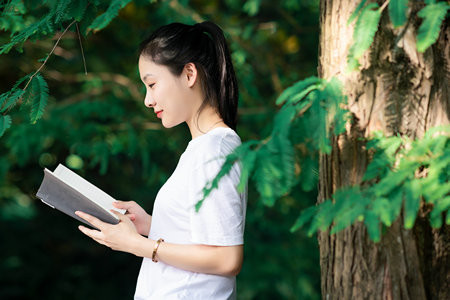 石家莊鐵道大學MEM成績啥時候出來,怎么查詢?