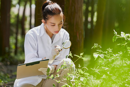 華中農業大學MPA成績沒過國家線怎么辦？