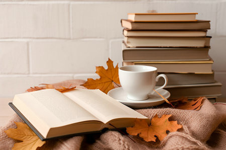 集美大學MPAcc成績怎么查詢？