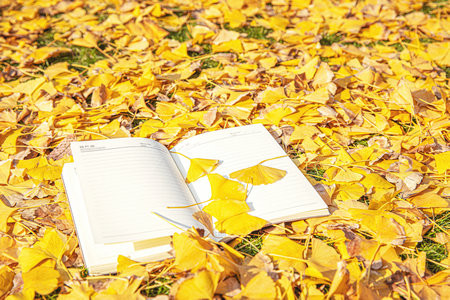 北京第二外國語學院MBA怎么能提升成績？