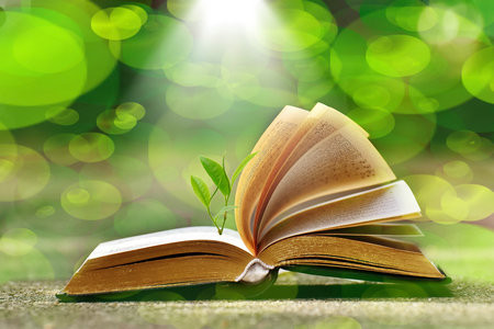 長江大學(xué)MEM的成績什么時候出？