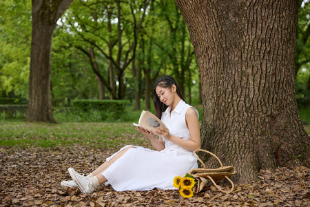 南京信息工程大学MPA分数线什么时候出？