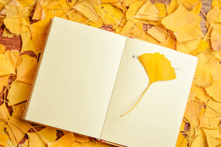 長安大學MBA分數線多少?