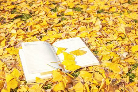 沈陽農業大學MPAcc分數線每年一樣嗎？