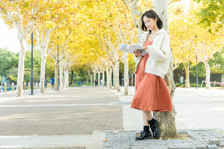 河南師范大學MPA分數線什么時候出？