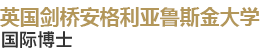 安格利亞魯斯金大學國際博士