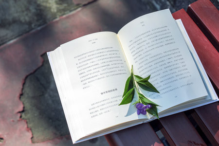 華東政法大學非全日制研究生什么情況下可以調劑？