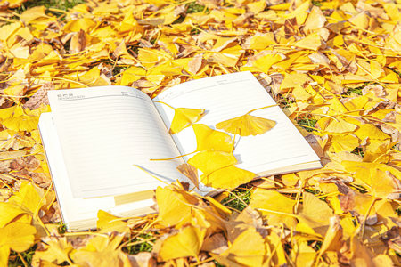 齊魯工業大學非全日制研究生調劑時間一般什么時候？